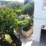 Goja Ražanj
