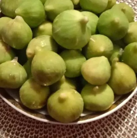 Goja 아파트 Ražanj