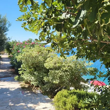 Goja Lägenhet Ražanj