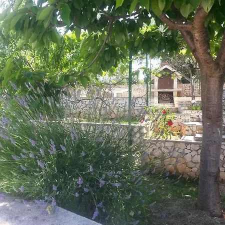 아파트 Goja Ražanj
