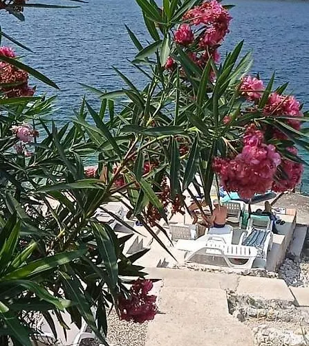 Goja Διαμέρισμα Ražanj