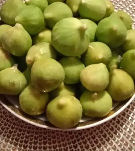 Goja Διαμέρισμα Ražanj