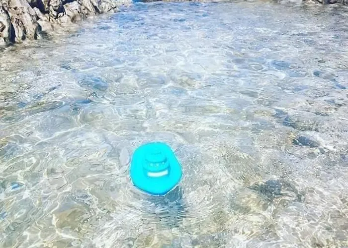 Goja Διαμέρισμα