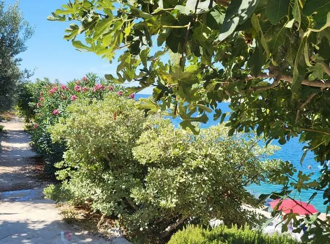 Goja Διαμέρισμα Ražanj